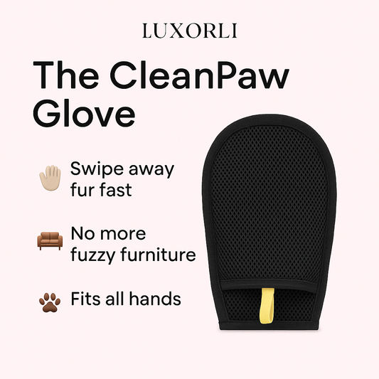 The CleanPaw Glove