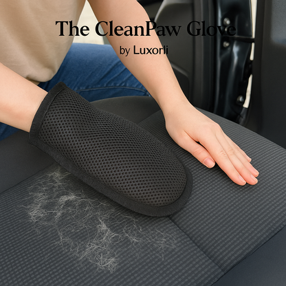The CleanPaw Glove