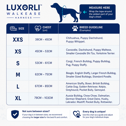 Luxorli WalkEase Harness
