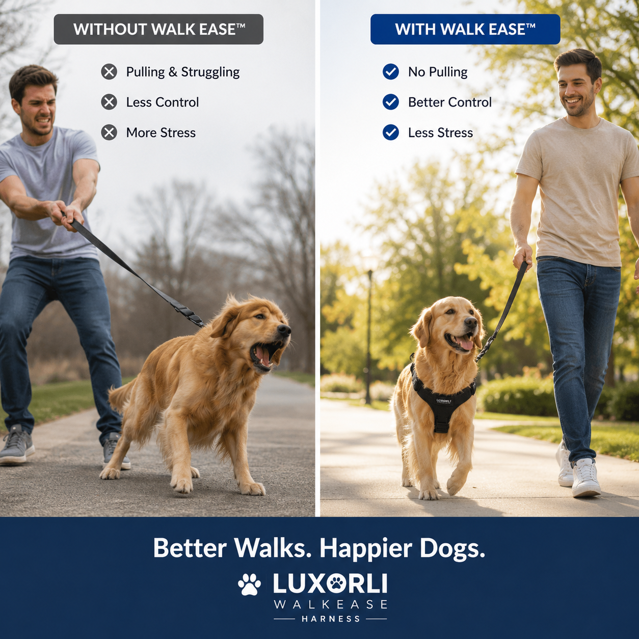 Luxorli WalkEase Harness
