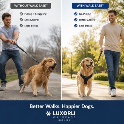 Luxorli WalkEase Harness