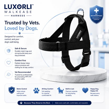 Luxorli WalkEase Harness
