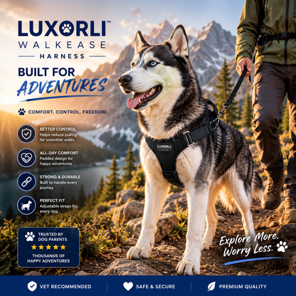Luxorli WalkEase Harness
